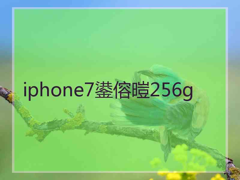 iphone7鍙傛暟256g