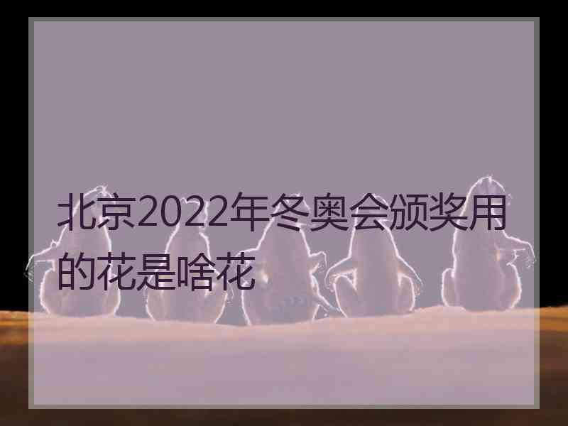 北京2022年冬奥会颁奖用的花是啥花