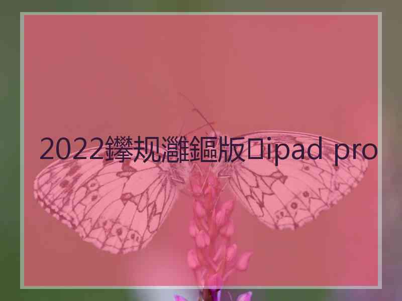 2022鑻规灉鏂版ipad pro