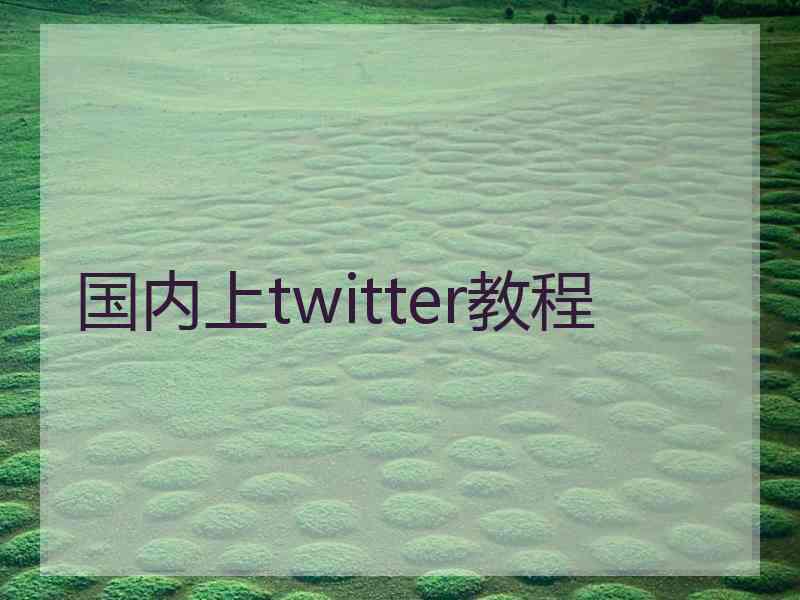 国内上twitter教程