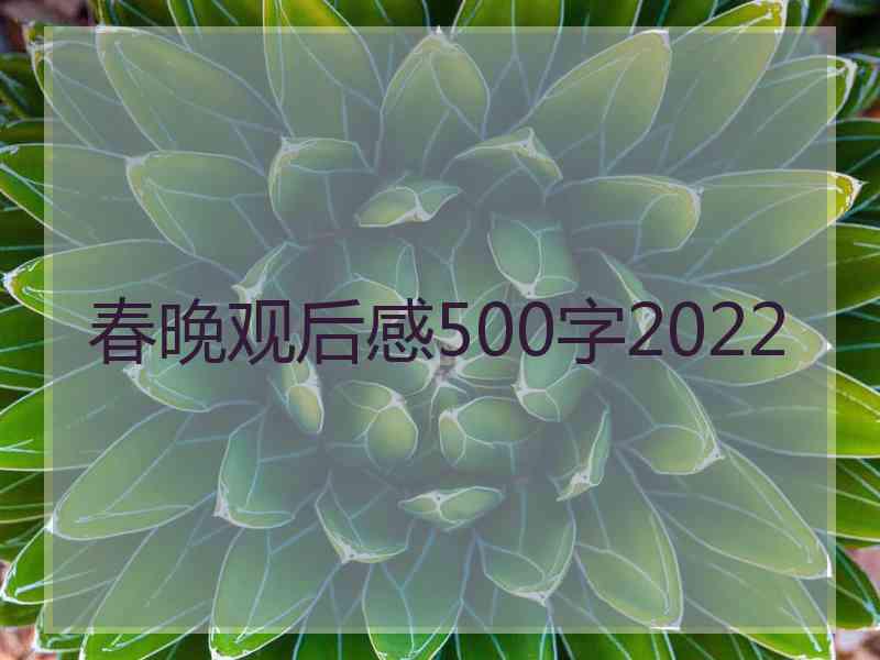 春晚观后感500字2022