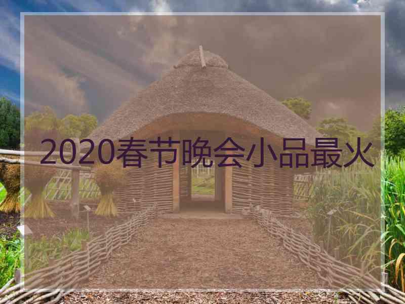 2020春节晚会小品最火