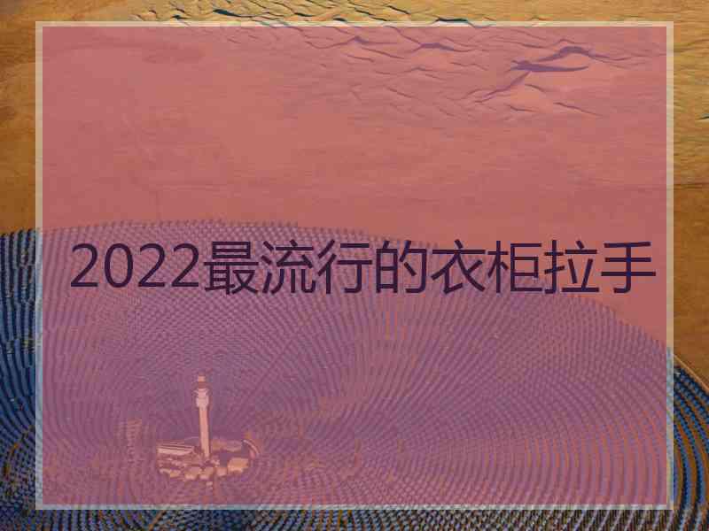 2022最流行的衣柜拉手