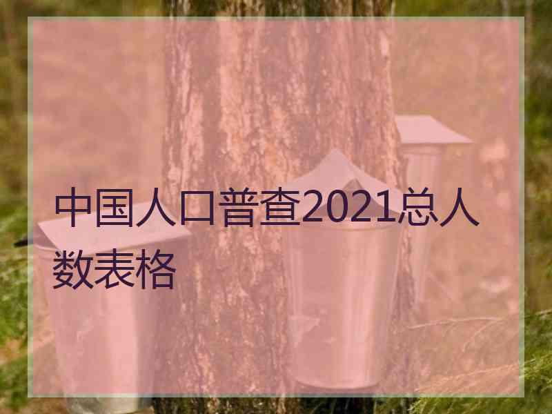 中国人口普查2021总人数表格