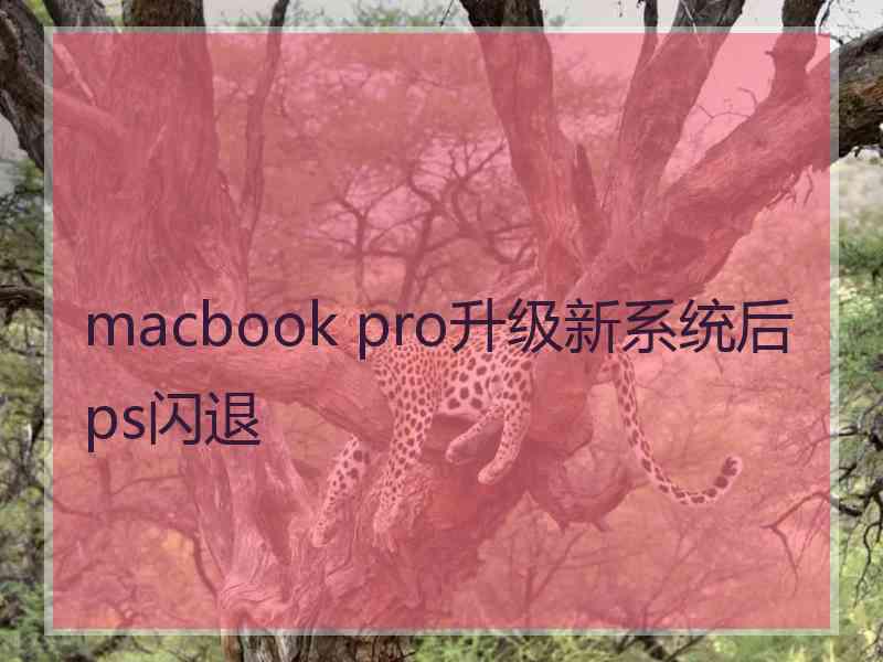 macbook pro升级新系统后ps闪退