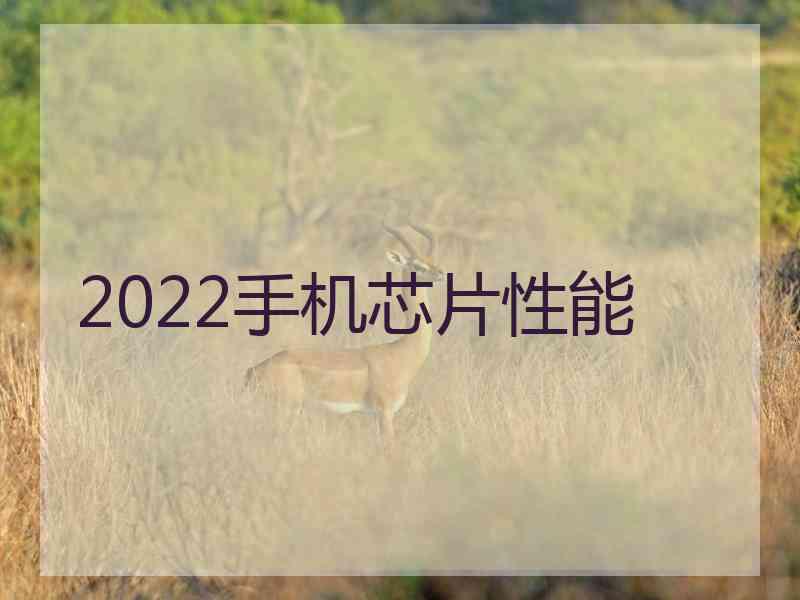 2022手机芯片性能