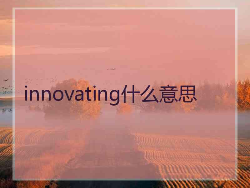 innovating什么意思