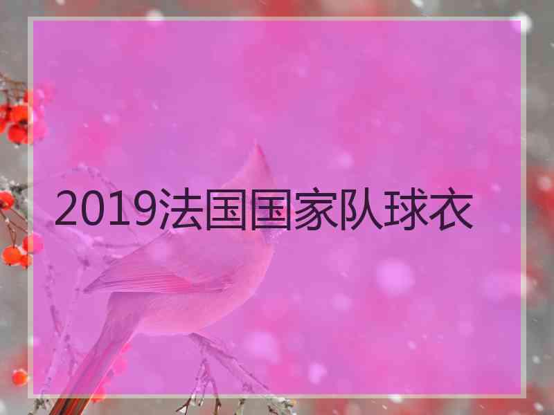 2019法国国家队球衣