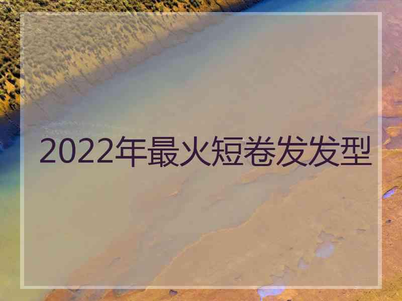 2022年最火短卷发发型