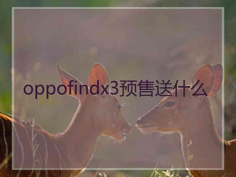 oppofindx3预售送什么