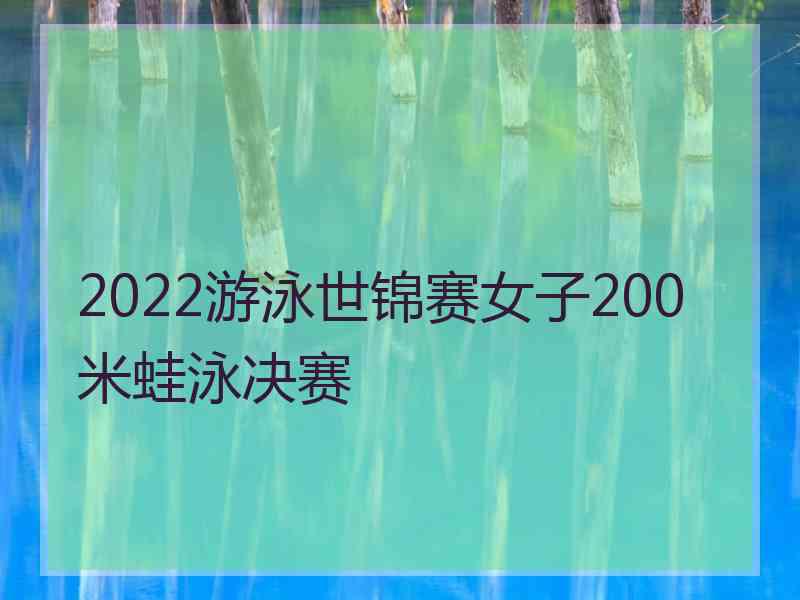 2022游泳世锦赛女子200米蛙泳决赛