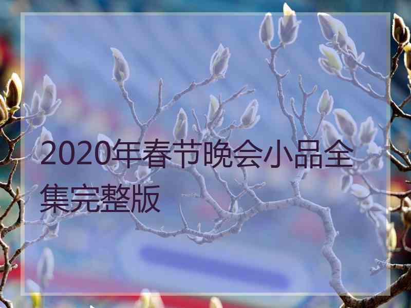 2020年春节晚会小品全集完整版