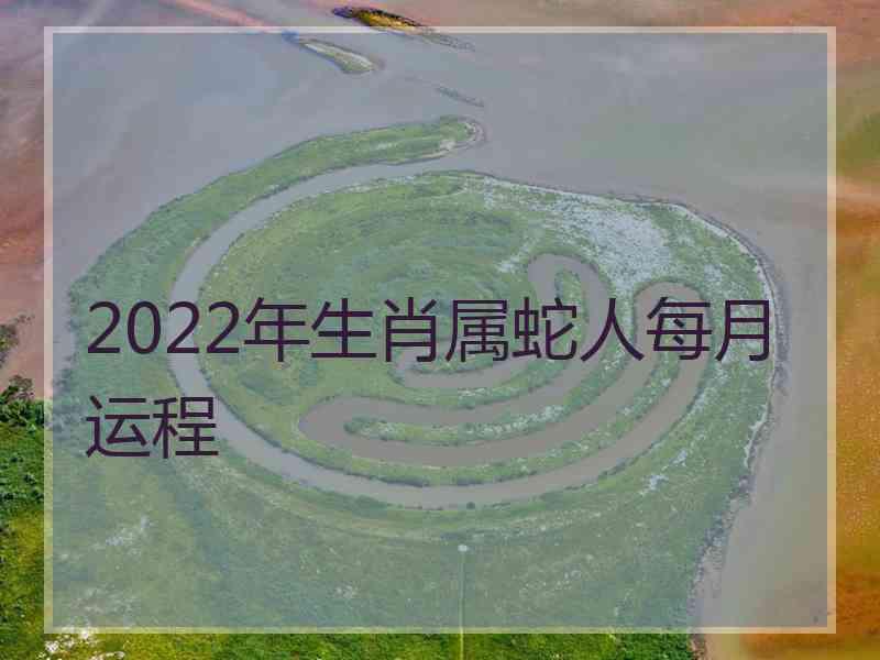 2022年生肖属蛇人每月运程