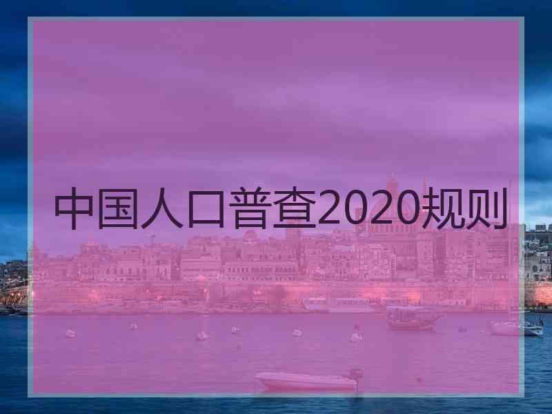 中国人口普查2020规则