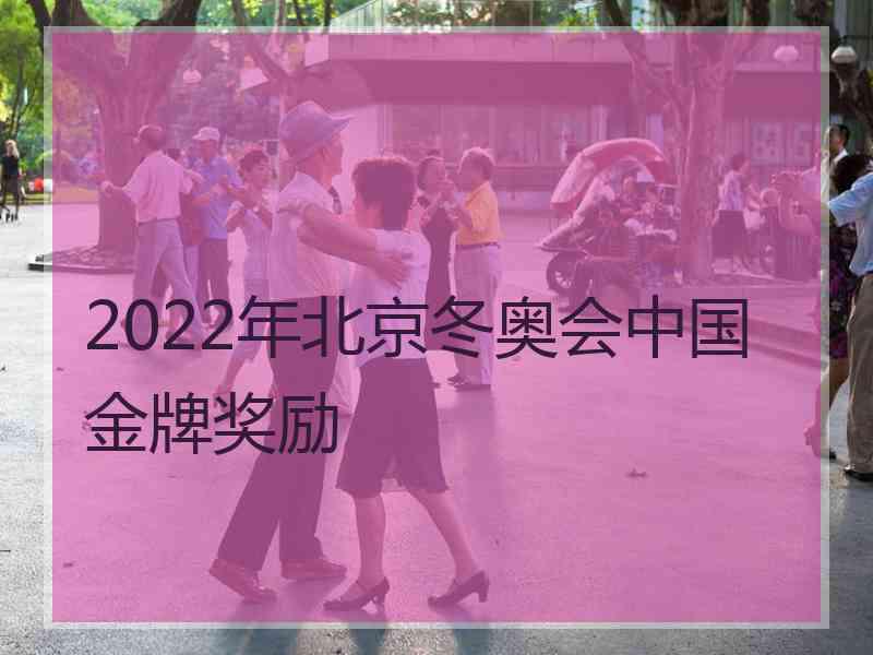 2022年北京冬奥会中国金牌奖励