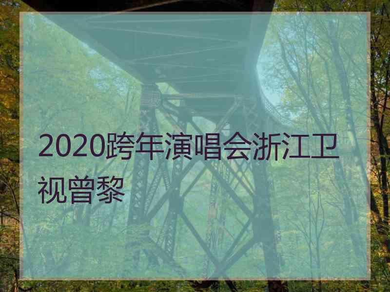 2020跨年演唱会浙江卫视曾黎