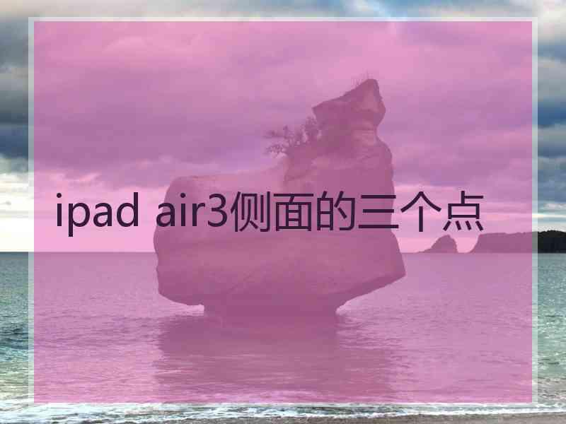 ipad air3侧面的三个点