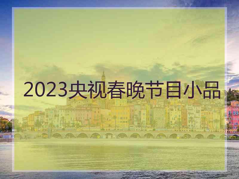 2023央视春晚节目小品