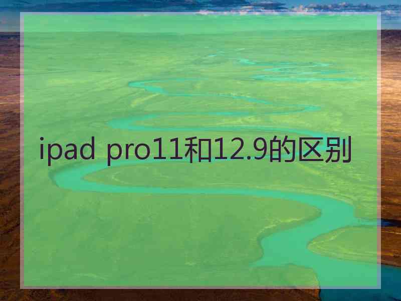 ipad pro11和12.9的区别