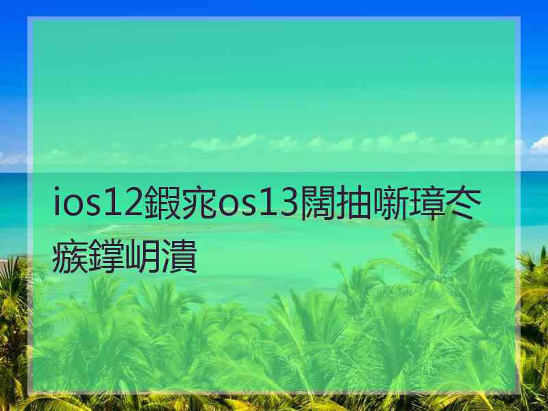 ios12鍜宨os13闊抽噺璋冭瘯鐣岄潰