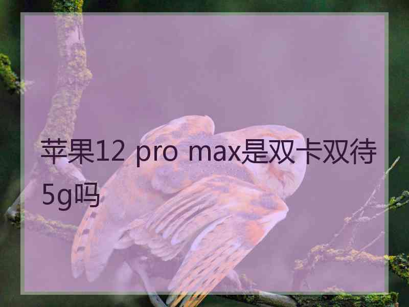 苹果12 pro max是双卡双待5g吗