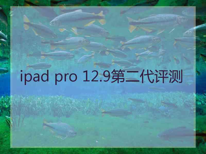 ipad pro 12.9第二代评测