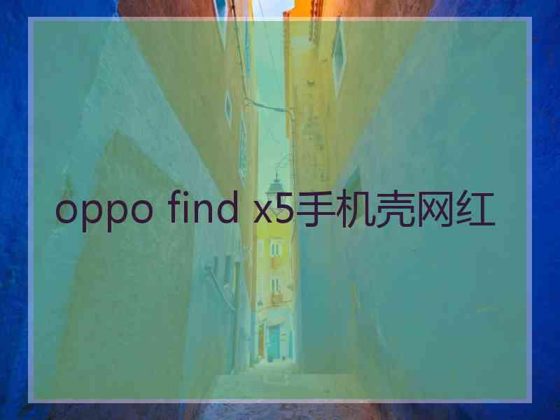 oppo find x5手机壳网红