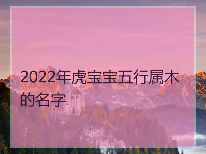 2022年虎宝宝五行属木的名字