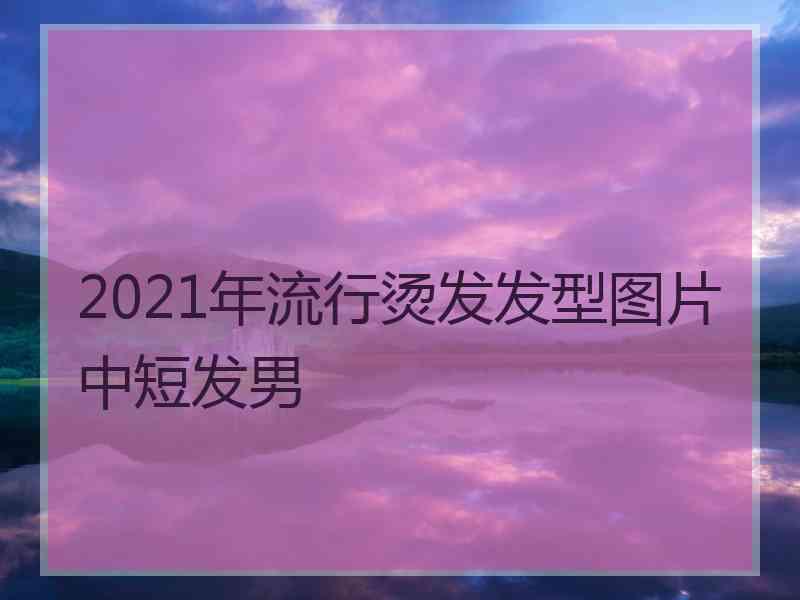 2021年流行烫发发型图片中短发男