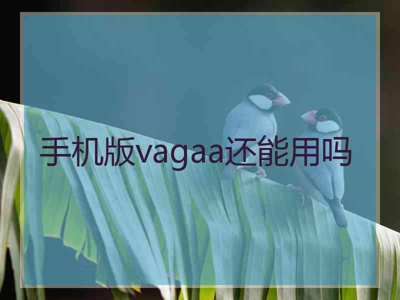 手机版vagaa还能用吗