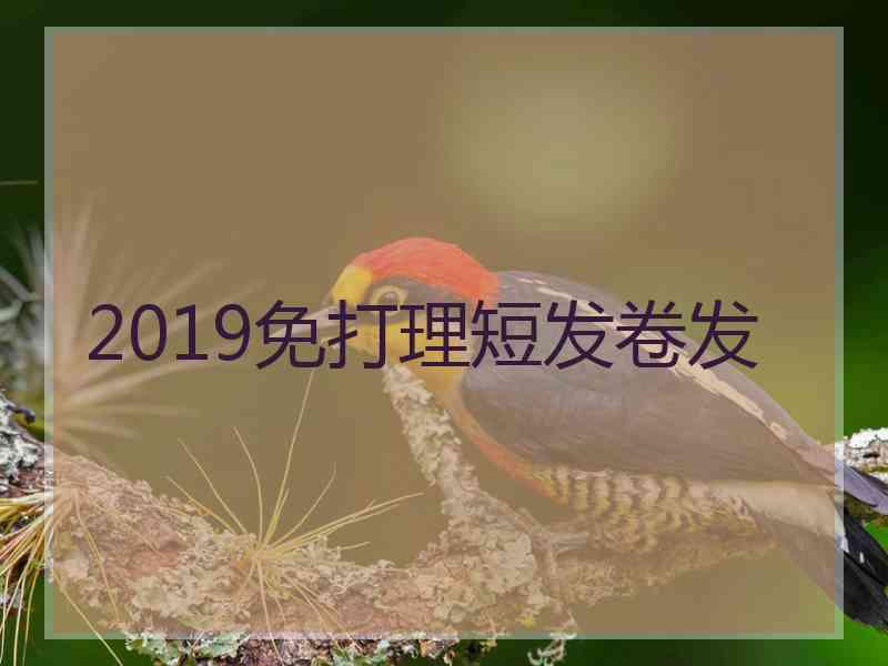 2019免打理短发卷发