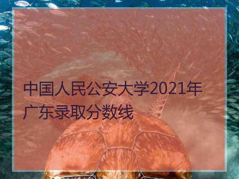 中国人民公安大学2021年广东录取分数线