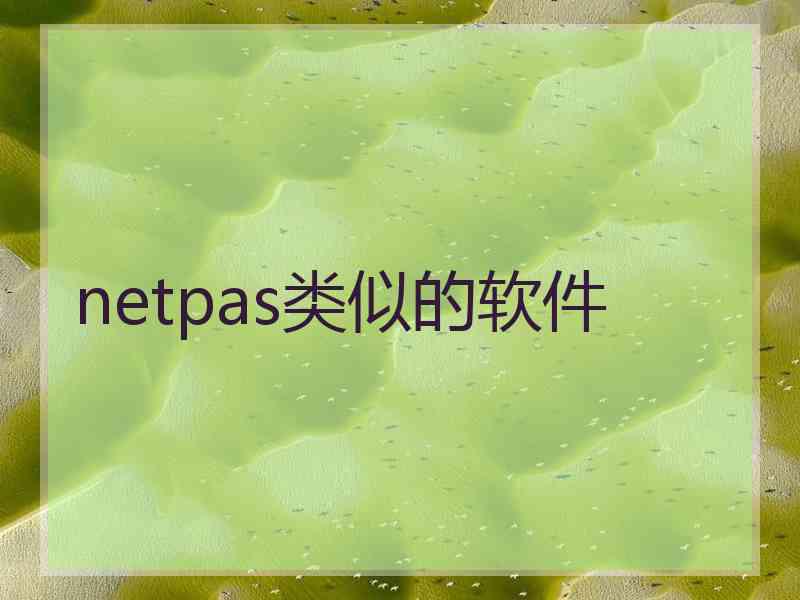 netpas类似的软件