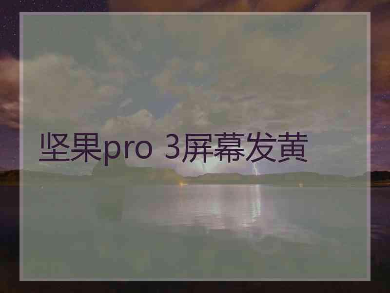 坚果pro 3屏幕发黄