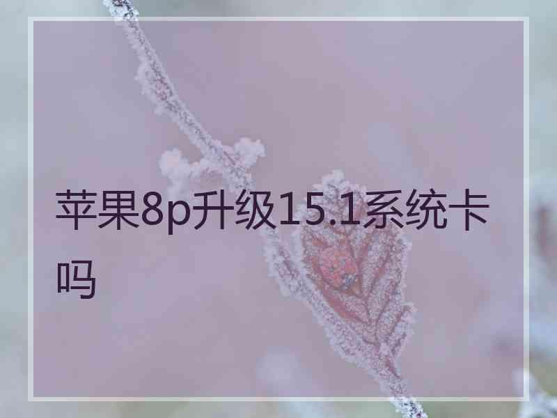 苹果8p升级15.1系统卡吗