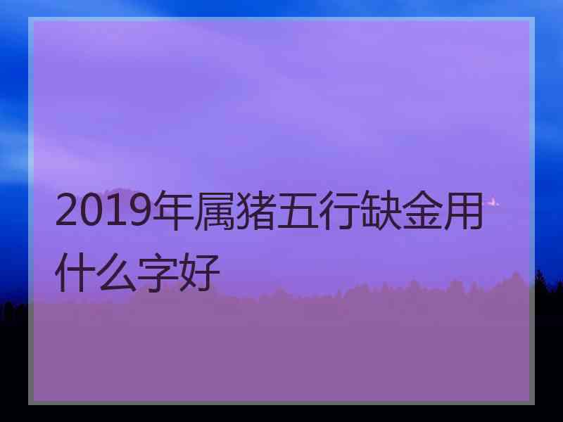 2019年属猪五行缺金用什么字好