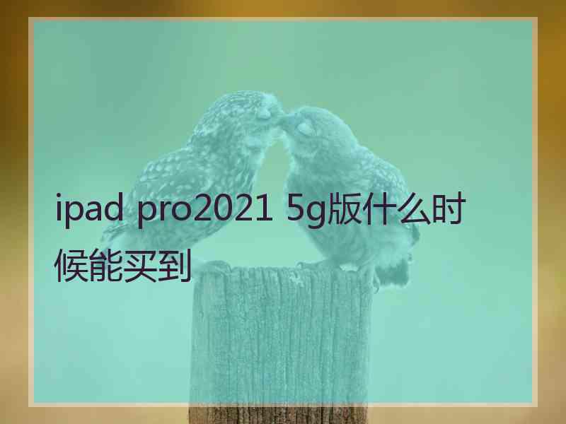 ipad pro2021 5g版什么时候能买到