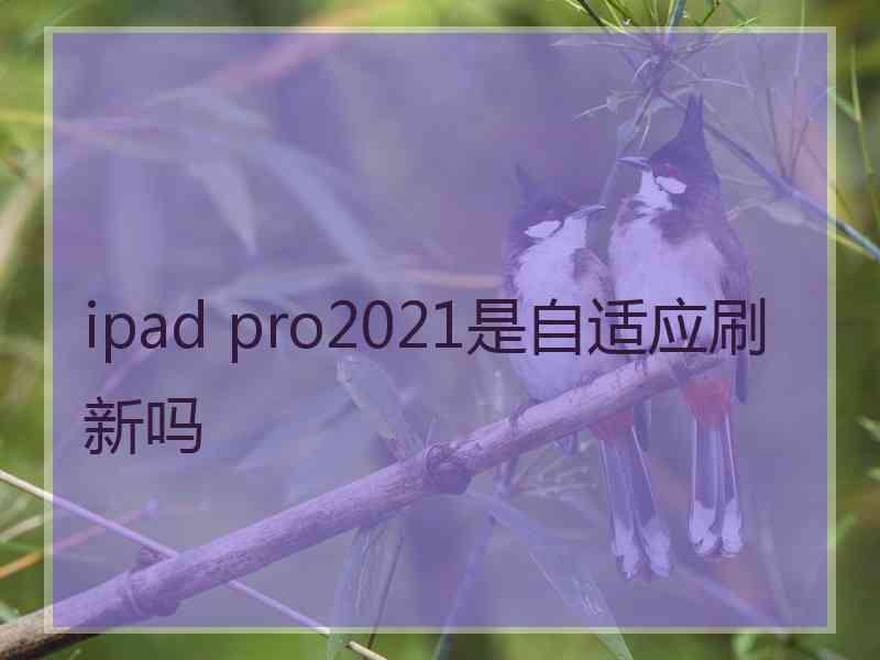 ipad pro2021是自适应刷新吗