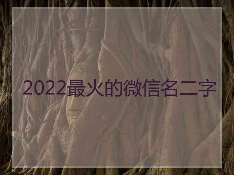 2022最火的微信名二字