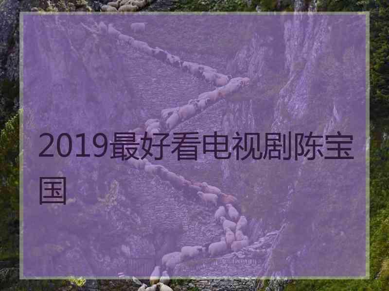 2019最好看电视剧陈宝国