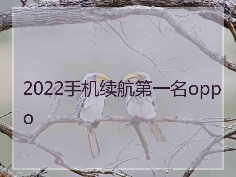 2022手机续航第一名oppo