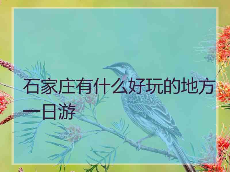 石家庄有什么好玩的地方一日游