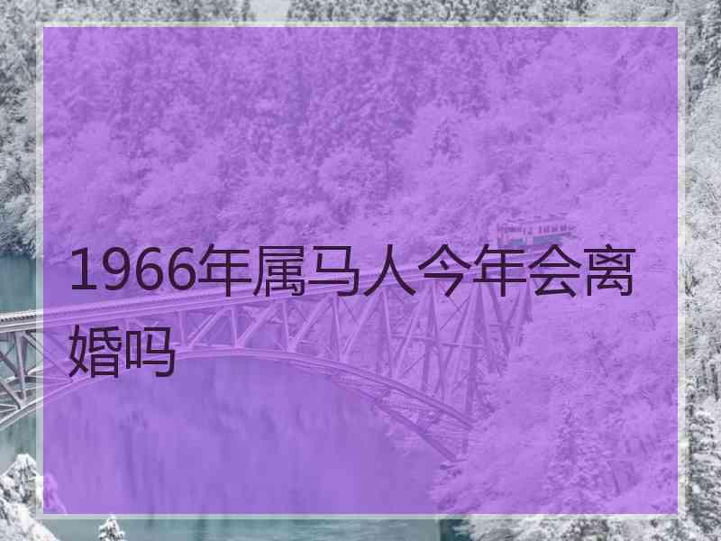 1966年属马人今年会离婚吗