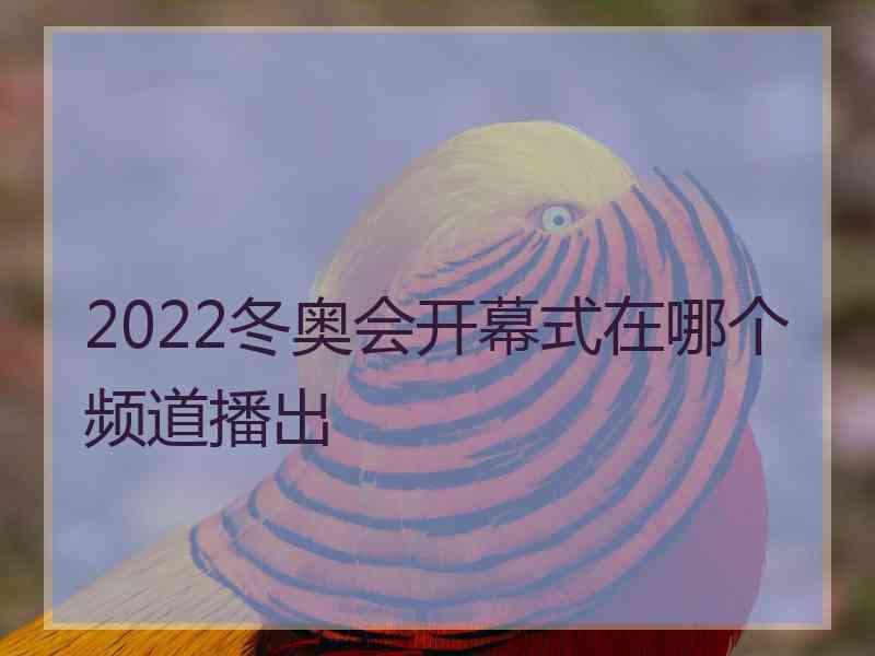 2022冬奥会开幕式在哪个频道播出