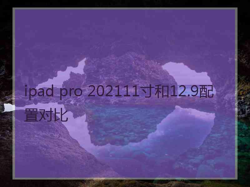 ipad pro 202111寸和12.9配置对比