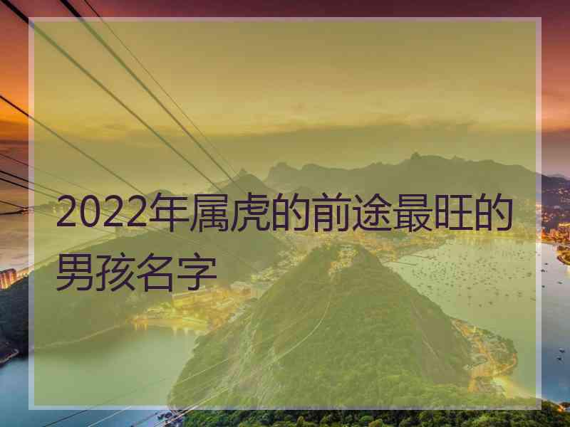 2022年属虎的前途最旺的男孩名字