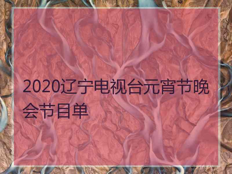 2020辽宁电视台元宵节晚会节目单