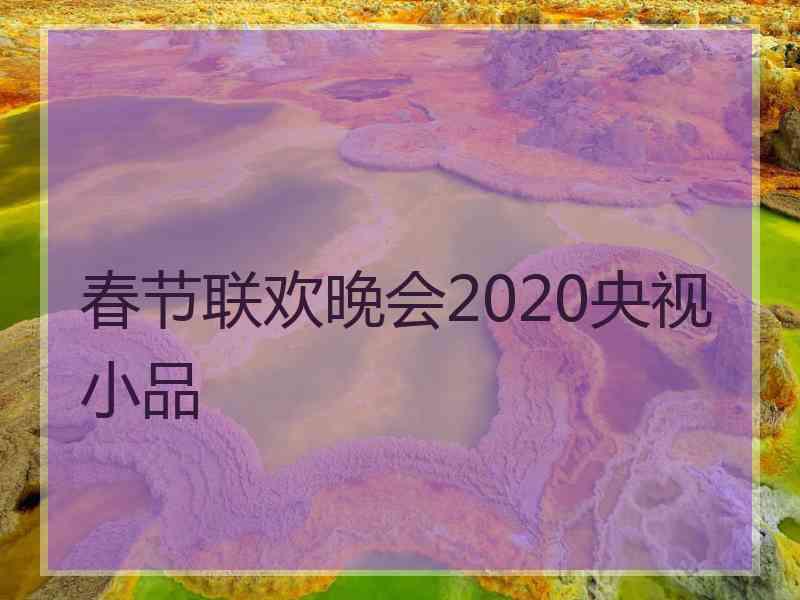 春节联欢晚会2020央视小品