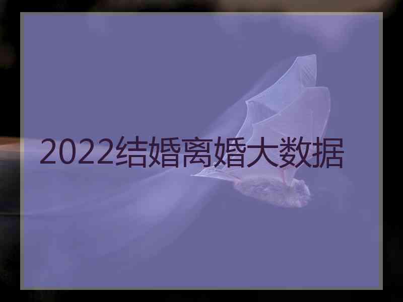 2022结婚离婚大数据