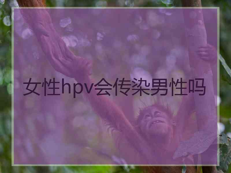 女性hpv会传染男性吗